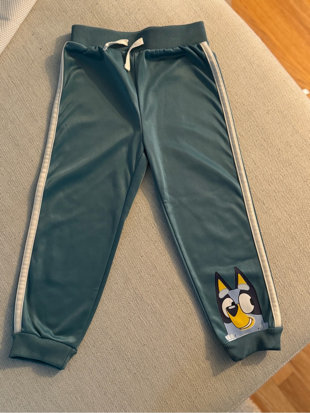 Bluey Kids Teal Blue Jogger Pants
